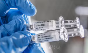 Hoạt động bào chế vaccine phòng COVID-19 trên thế giới tiến triển tích cực