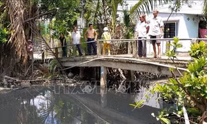 Phản hồi thông tin của TTXVN: Bến Tre sẽ triển khai nạo vét, giải quyết ô nhiễm ở kênh Xáng