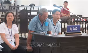 Y án sơ thẩm vụ làm giả hồ sơ xin cấp sổ đỏ ở Ba Vì (Hà Nội)