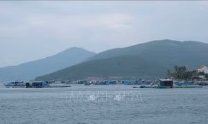 Ứng phó bão số 6: Di dời gần 40.000 lồng bè ở huyện Vạn Ninh, Khánh Hoà