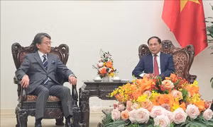 Việt Nam và Nhật Bản hợp tác thúc đẩy chuyển đổi năng lượng