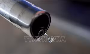 Giá dầu bật tăng trước các diễn biến mới của cuộc xung đột tại Trung Đông