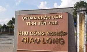 Bến Tre khởi động đội phản ứng nhanh phòng, chống thủy đậu