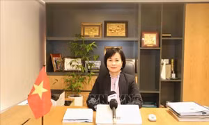 Kết nối tri thức - Kiến tạo nhân tài - Bài 2: Thiết lập hệ sinh thái giáo dục