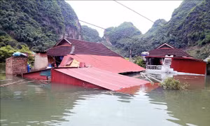 Sơn La: Thiệt hại hơn 501 tỷ đồng do mưa lũ