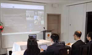 Tọa đàm 'Góc nhìn quốc tế về vấn đề Trợ cấp xuyên quốc gia và hàm ý đối với Việt Nam'