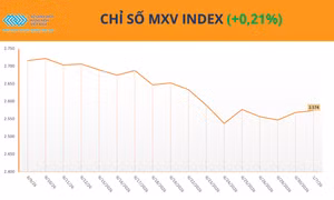 Cà phê tăng phiên thứ ba liên tiếp, MXV-Index nhích lên 2.574 điểm 