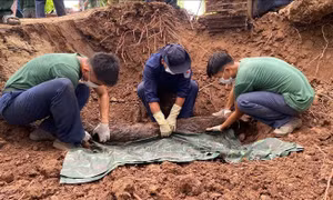 Tìm thấy 44 bộ hài cốt liệt sĩ tại xã biên giới Tân Thành, Đồng Tháp