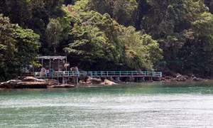 'Phù phép' đất rừng Vườn quốc gia Phú Quốc - Bài 1: Nghi vấn lập khống nguồn gốc đất 