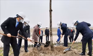 Hà Nam ra quân hưởng ứng 'Tết trồng cây đời đời nhớ ơn Bác Hồ'