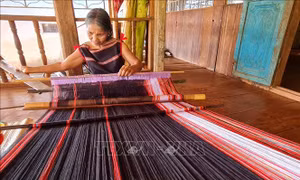 Tôn vinh giá trị văn hóa các dân tộc Việt Nam - Bài 2: Văn hóa các dân tộc tạo nên bản sắc Việt Nam