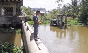 Tháng 3, xâm nhập mặn ở Đồng bằng sông Cửu Long có thể vào sâu 60 km