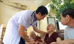 Hoàn thiện các điều kiện, tiêu chuẩn xem xét công nhận người có công với cách mạng