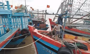 Các tỉnh, thành phố Bắc bộ từ Nghệ An trở ra chủ động ứng phó với bão số 6