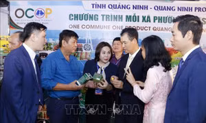 Khai mạc Hội chợ thương mại Việt - Lào 2022