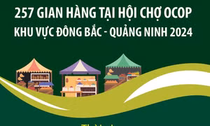 257 gian hàng tại Hội chợ OCOP khu vực Đông Bắc - Quảng Ninh 2024
