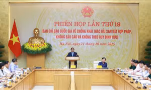 Triển khai kế hoạch hành động tháng cao điểm chống khai thác hải sản bất hợp pháp