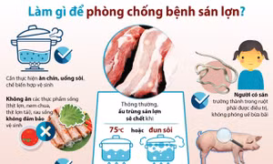 Làm gì để phòng chống bệnh sán lợn?