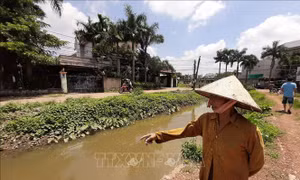 Người phụ nữ Đồng Xoài hiến đất để hồi sinh con suối 'chết'