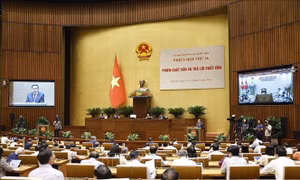 Chất vấn và trả lời chất vấn tại Phiên họp thứ 36 của Ủy ban Thường vụ Quốc hội