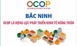 Bắc Ninh: OCOP là động lực phát triển kinh tế nông thôn