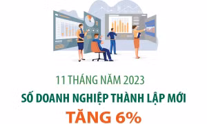 11 tháng năm 2023, số doanh nghiệp thành lập mới tăng 6%
