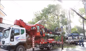 Gió giật mạnh làm cành cây, biển quảng cáo rơi trúng người đi đường ở Trà Vinh