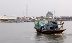 Lâm Đồng: Triển khai 10 nhiệm vụ trọng tâm chống khai thác IUU
