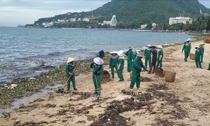 Thu gom hàng trăm tấn rác tràn vào bãi biển Vũng Tàu