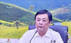Nhận diện thực trạng liên kết tiêu thụ, xuất khẩu sầu riêng