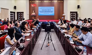 Thúc đẩy các dự án, chương trình phát triển thông qua các tổ chức phi chính phủ 