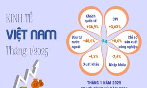 Kinh tế xã hội tháng 1/2025 đạt nhiều chỉ số tích cực