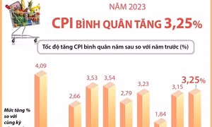 CPI bình quân năm 2023 tăng 3,25%