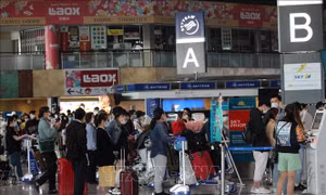 Kiều bào Việt Nam ở Nhật Bản hoan nghênh việc nối lại đường bay giữa hai nước