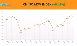 MXV-Index tiệm cận vùng cao nhất kể từ đầu năm, lúa mì dẫn dắt đà tăng 