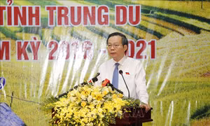 Nâng cao năng lực, kỹ năng hoạt động cho đại biểu Hội đồng nhân dân
