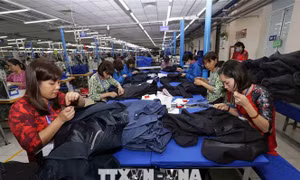 Gia nhập CPTPP là cơ hội để Công đoàn Việt Nam cạnh tranh và đổi mới