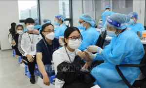 Tổng hợp COVID-19 ngày 24/12: Không cách ly y tế với người nhập cảnh ngắn ngày; ghi nhận 235 ca tử vong