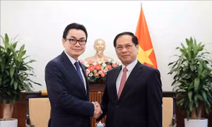 Việt Nam, Campuchia thúc đẩy hợp tác thực chất vì lợi ích chung