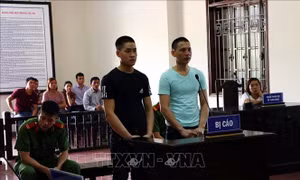 Mua đi bán lại ma túy, hai đối tượng lĩnh án hơn 20 năm tù