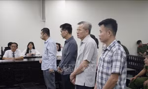 Cựu Chủ tịch Công ty Nam Triệu bị phạt 29 năm tù