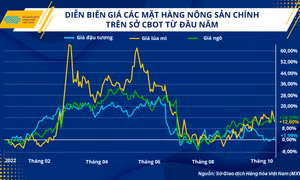 Giải pháp nào cho doanh nghiệp chăn nuôi khi nguồn cung nguyên liệu bị thắt chặt