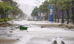 Thanh Hóa tan hoang sau bão số 10