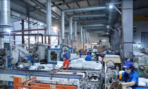 Điểm tin kinh tế Việt Nam nổi bật ngày 25/2/2026