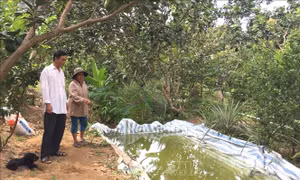 Dồn sức phòng, chống hạn mặn - Bài cuối: Chủ động ứng phó