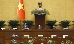 Thông cáo báo chí số 12, Kỳ họp không thường lệ thứ Nhất, Quốc hội khóa XVI