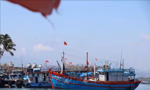 Kết nối VNeID với hệ thống quản lý tàu cá
