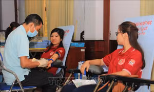 Gần 50.000 lượt người lao động tham gia chiến dịch tình nguyện phục vụ cộng đồng