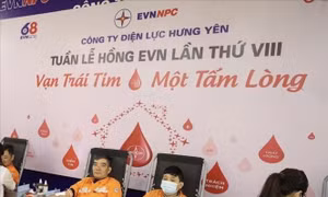 Tuần lễ hồng EVN tại Hưng Yên