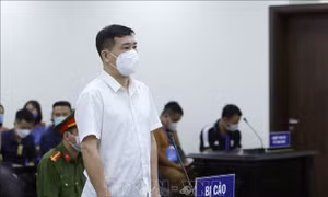 Cựu Đại tá Phùng Anh Lê kháng cáo kêu oan trong vụ 'Nhận hối lộ'
